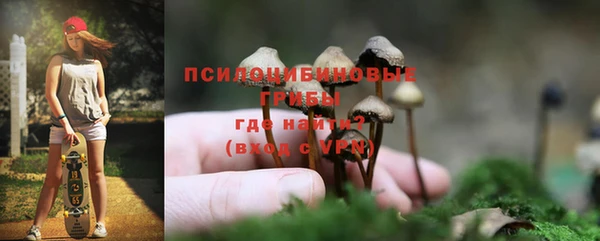 прущая мука Рославль