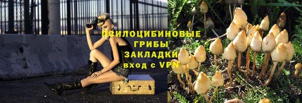 амф Белоозёрский