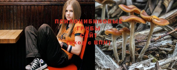 амф Белоозёрский