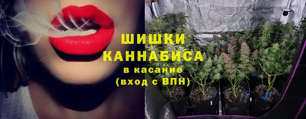 амф Белоозёрский