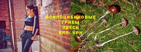 амф Белоозёрский